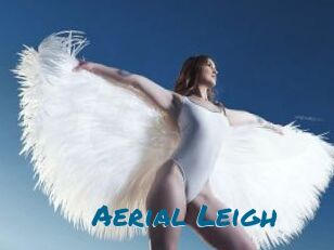Aerial_Leigh