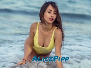 AlicePipp