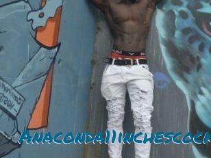 Anaconda11inchescock