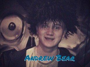 Andrew_Bear