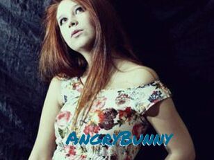 AngryBunny