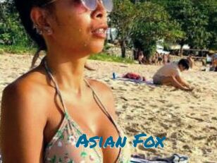 Asian_Fox