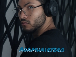 Adamhairybro