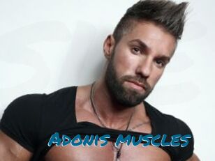 Adonis_muscles