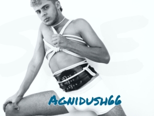 Agnidush66