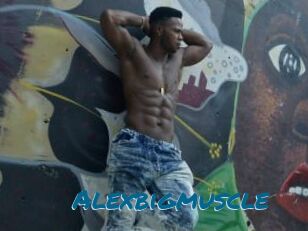 Alexbigmuscle
