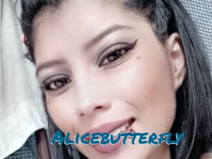 Alicebutterfly