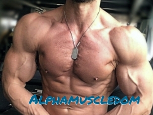alphamuscledom Sexcams Live Erotik