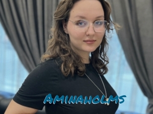 Aminaholms
