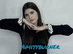 Amityburner