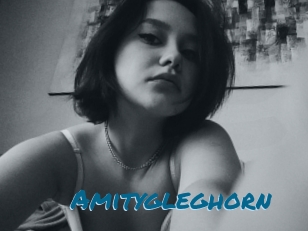 Amitygleghorn