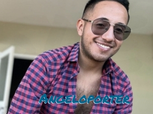 Angeloporter