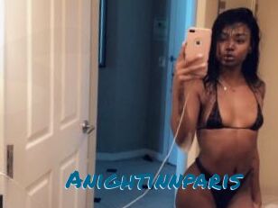 Anightinnparis