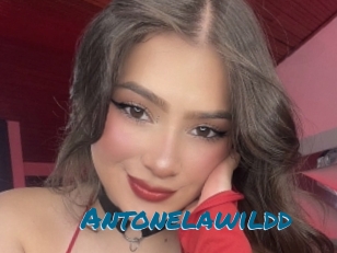 antonelawildd Sexcams Live Erotik