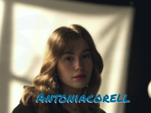 Antoniacorell