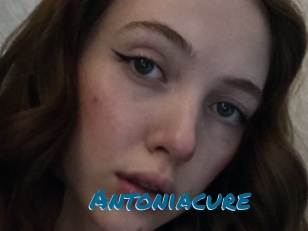 Antoniacure
