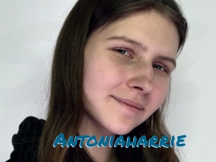 Antoniaharrie