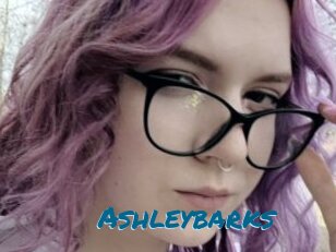 Ashleybarks