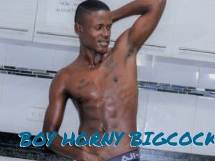 BOY_HORNY_BIGCOCK