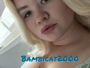 Bambicat2000 Sexcams Live Erotik