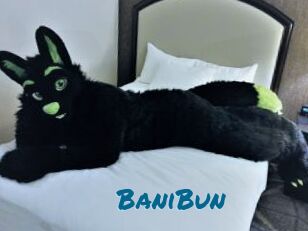 BaniBun