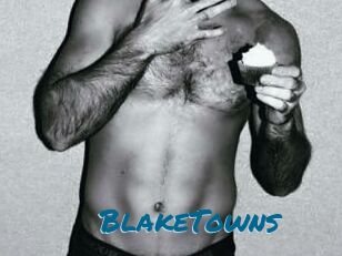 BlakeTowns
