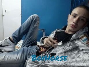 BoyHorse
