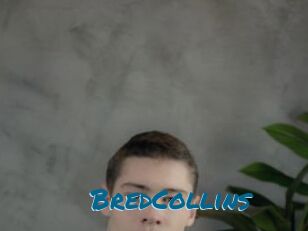 BredCollins
