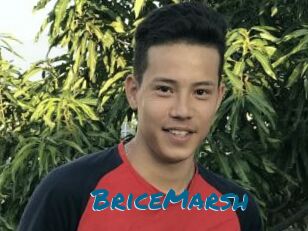BriceMarsh