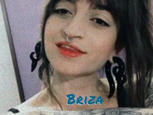 Briza