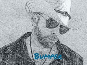 Bumper
