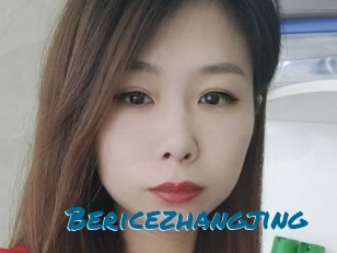 Bericezhangjing