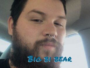 Big_bi_bear