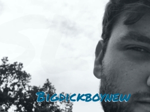 Bigdickboynew