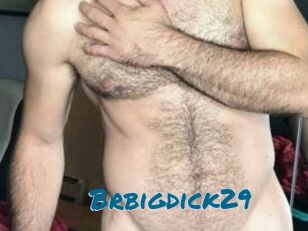 Brbigdick29