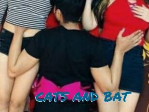 CATS_AND_BAT