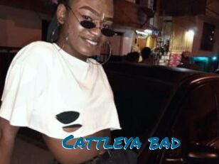 Cattleya_bad