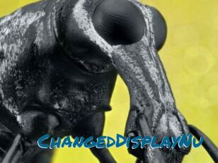 ChangedDisplayNu