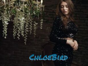 ChloeBird