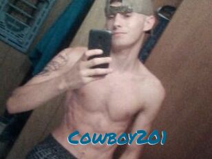 Cowboy201