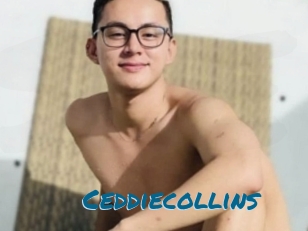 Ceddiecollins