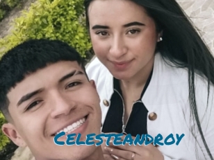 Celesteandroy