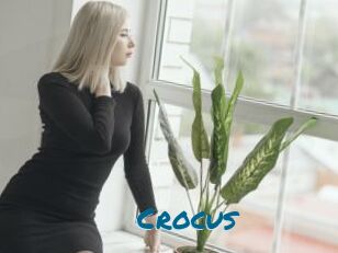 Crocus