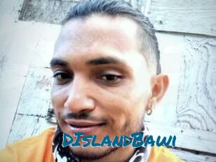 DIslandBawi