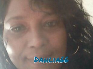 Dahlia66