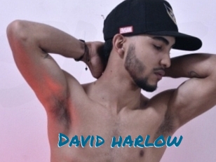 david_harlow Sexcams Live Erotik