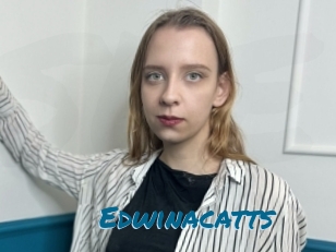 Edwinacatts