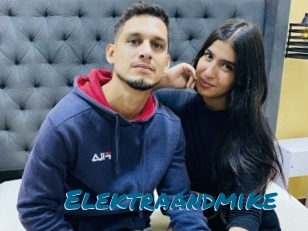 Elektraandmike