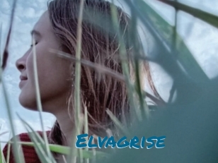 Elvagrise