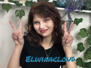 Elwinacloud